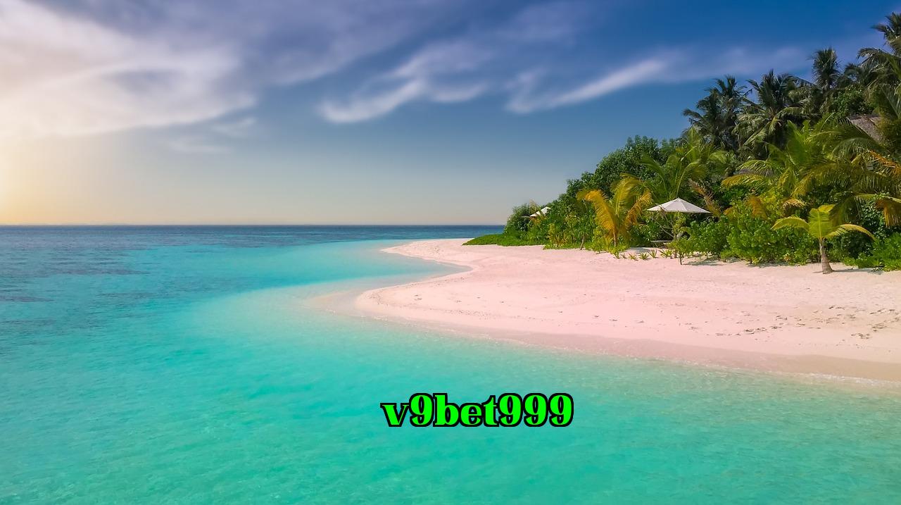/imgposts/2eh5jg5w.jpg