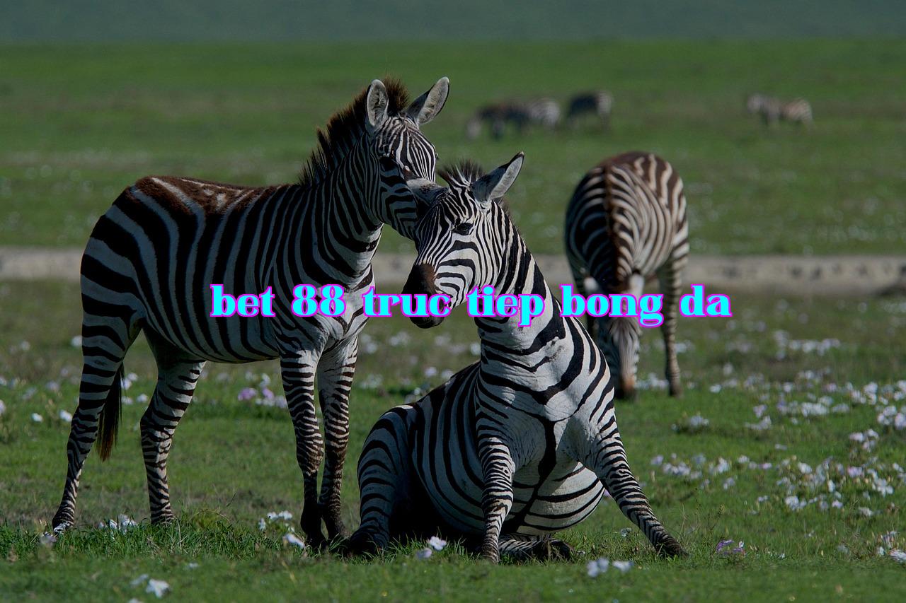 /imgposts/78c0wyvl.jpg
